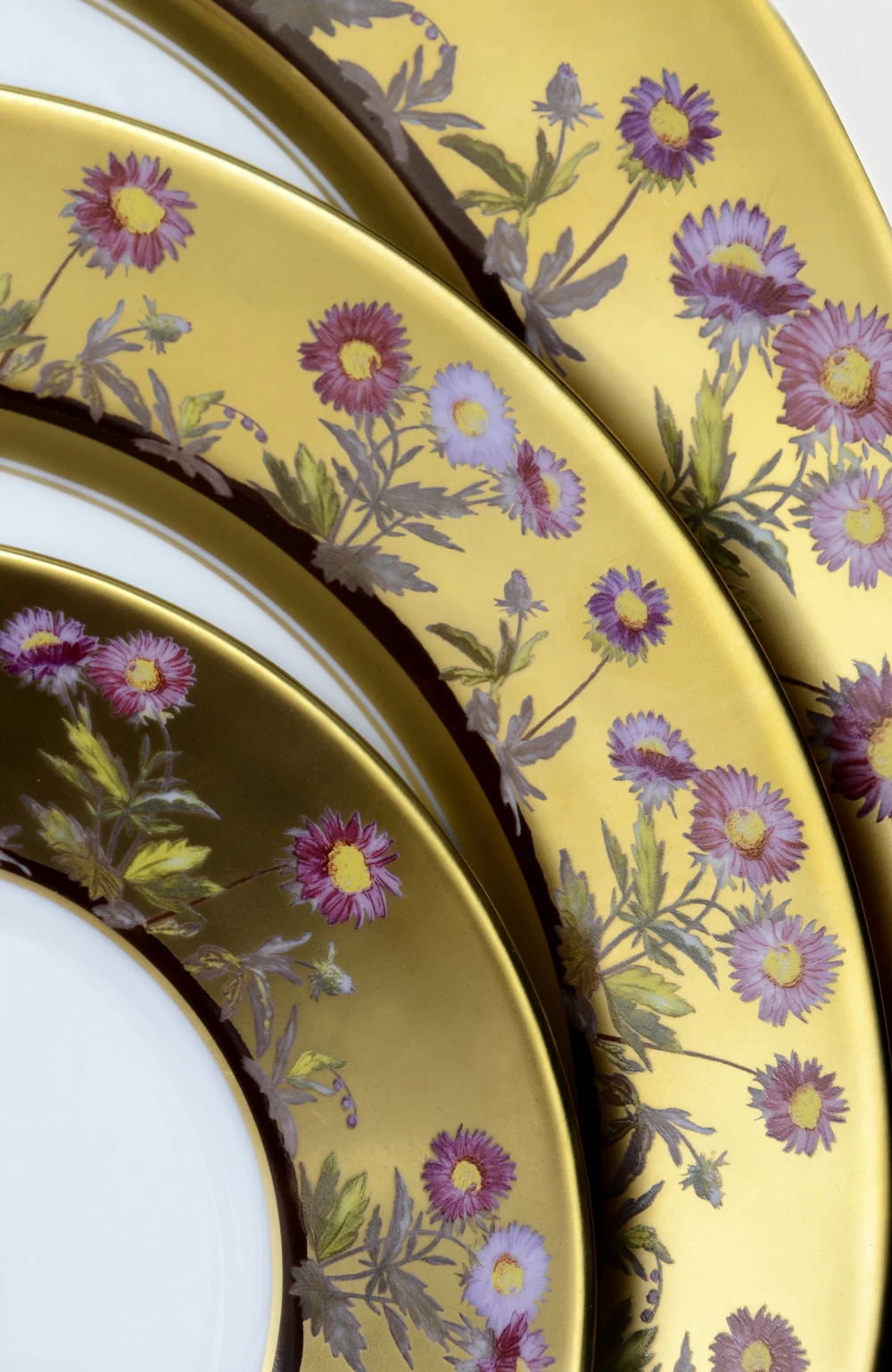 Bernardaud Héloïse Rim Soup Bowl - Image 2