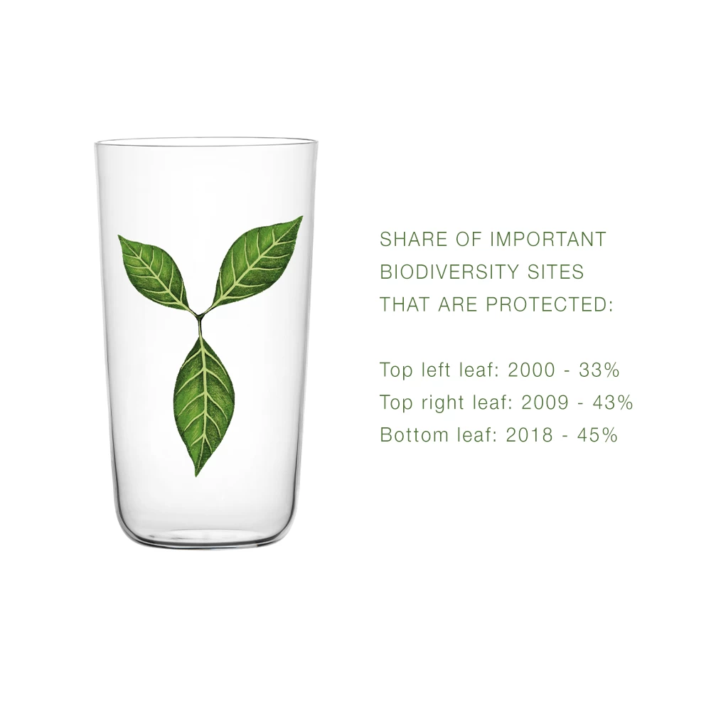 Lobmeyr Beautiful Numbers Beer Tumblers - Image 6