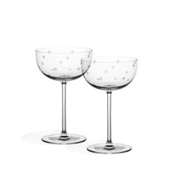 Richard Brendon The Cocktail Collection Star Cut Coupe Glass – Set Of 2
